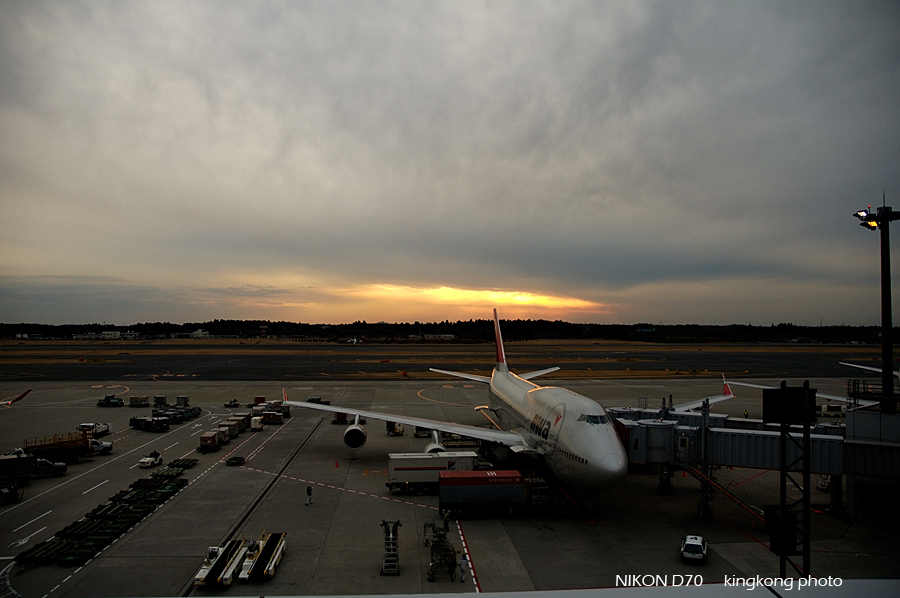 narita airport 06.jpg - 成田空港